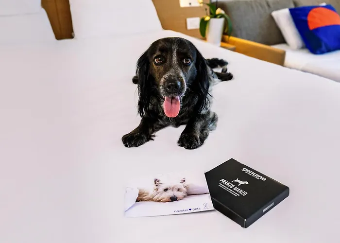 Novotel Venezia Castellana 4* Mestre