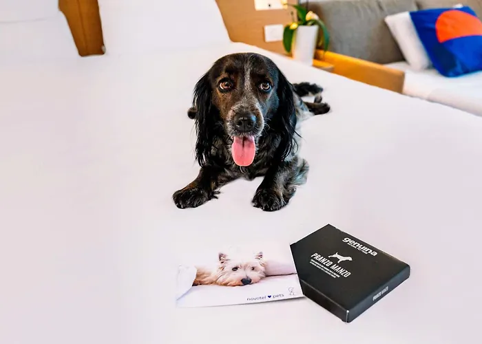 Hotel Novotel Venezia Castellana Mestre